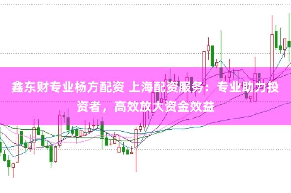 鑫东财专业杨方配资 上海配资服务：专业助力投资者，高效放大资金效益